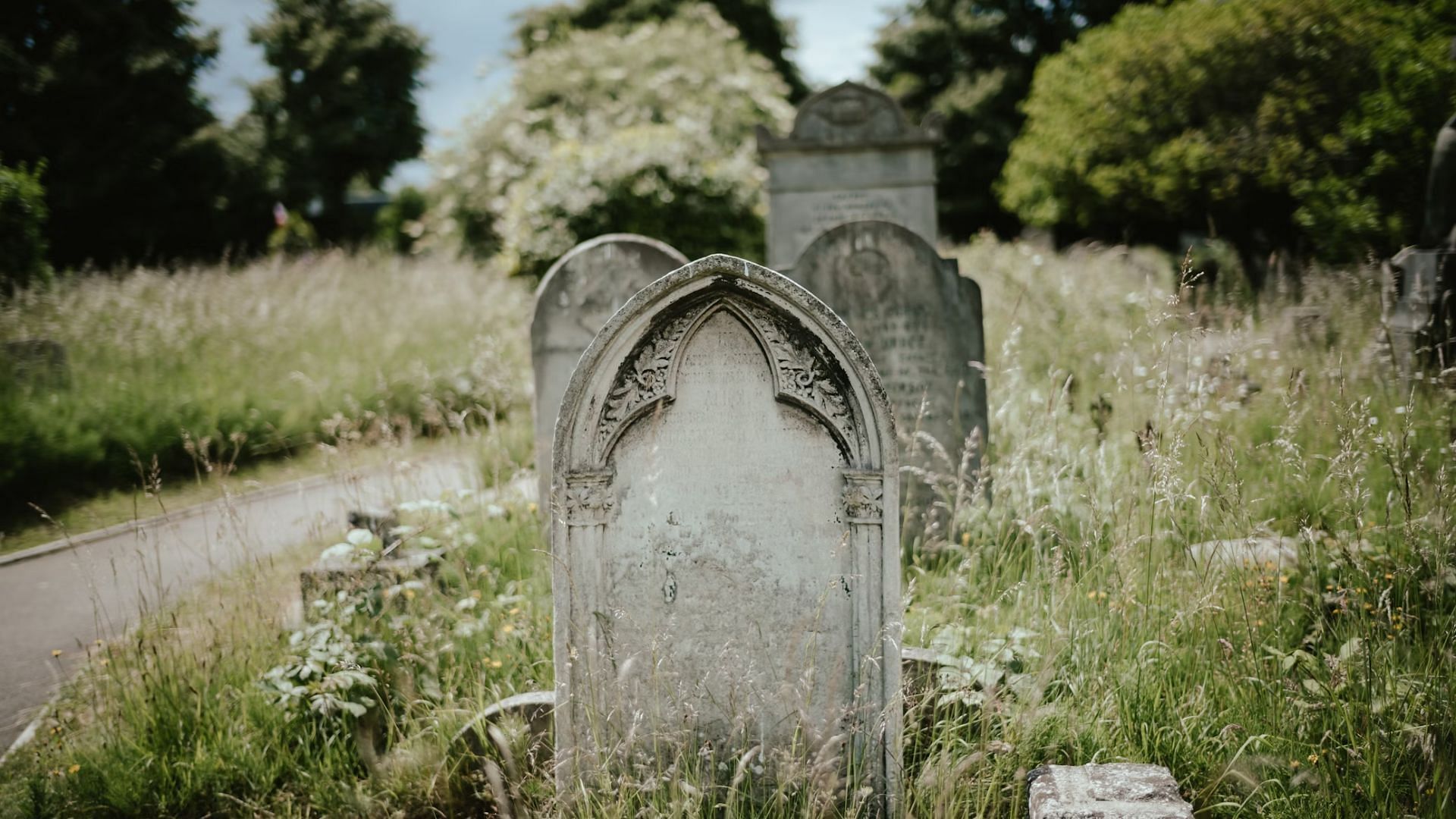 Buried in the Backyard sheds light on similar cases (Image via Unsplash/@Annie Spratt)